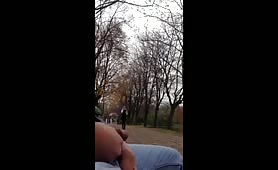 Flashing and jerking off in the park