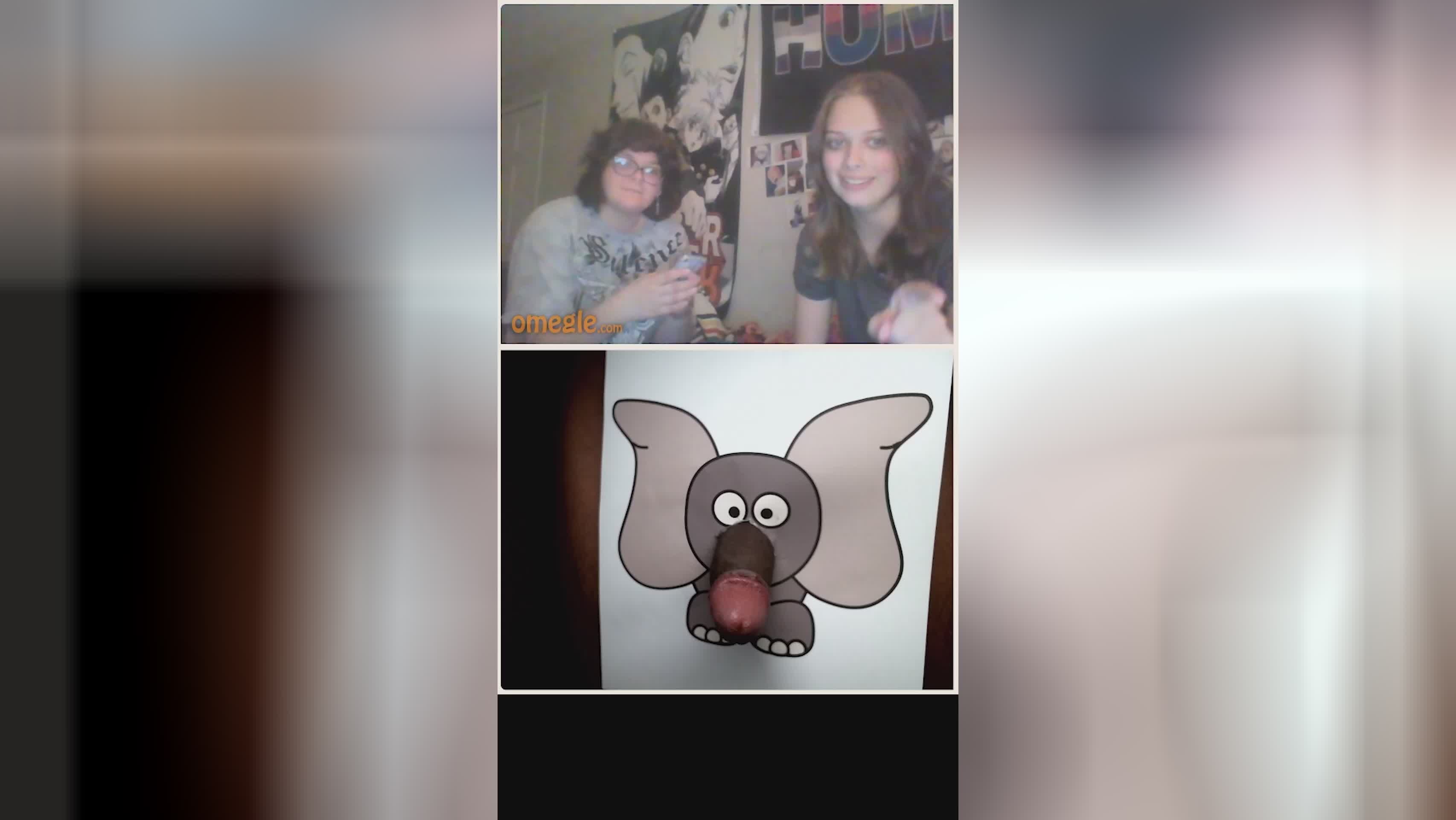 Elephant Dick Trunk Reactions! - Videos - CFNM Toob